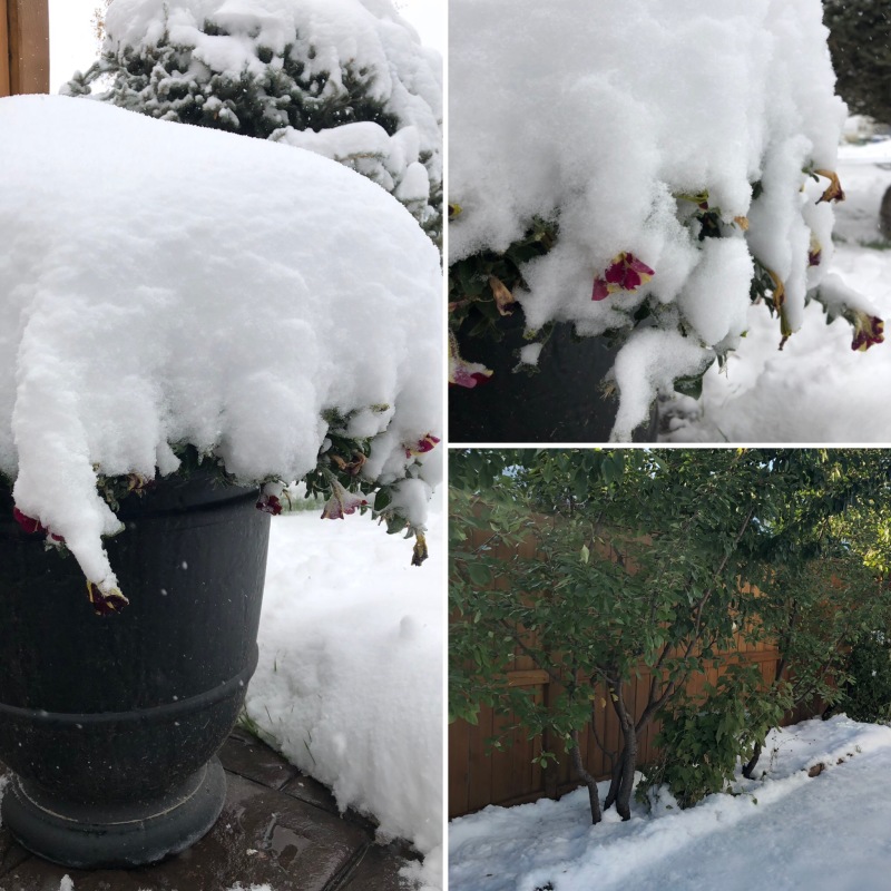 Crazy snow fall September 2019